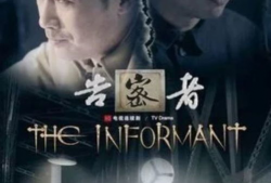 告密者电视剧免费观看,揭秘真相背后的惊心动魄