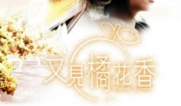 又见橘花香 电视剧,穿越时空的浪漫邂逅