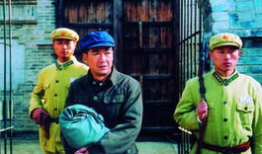 电视剧五月槐花香,民国风云中的爱情传奇