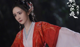 电视剧狐妖,千年情缘，爱恨交织的奇幻之旅