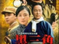 电视剧黑三角,揭秘神秘组织背后的惊心动魄