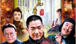 电视剧五月槐花香,民国风云中的爱情传奇