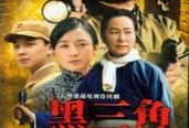 黑三角电视剧,暗流涌动的秘密战线
