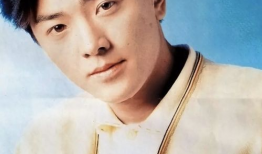 郑伊健电视剧,郑伊健演绎的传奇人生