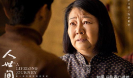 电视剧人世间剧情介绍,岁月流转，情感交织的岁月长河