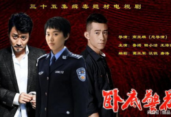 卧底警花电视剧,潜入黑暗，守护光明