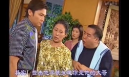 肥猫寻亲记电视剧,跨越时空的温馨之旅