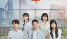 曾少年电视剧,青春岁月里的梦想与成长