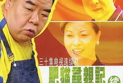 肥猫寻亲记电视剧,跨越时空的温馨之旅