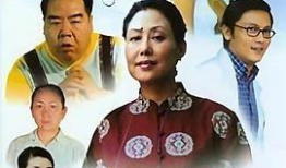 肥猫寻亲记电视剧,跨越时空的温馨之旅