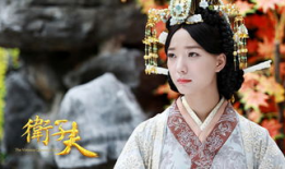 卫子夫电视剧,传奇皇后与汉武帝的宫廷风云