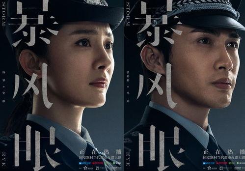 国安反间谍电视剧,揭秘反间谍战线上的生死较量