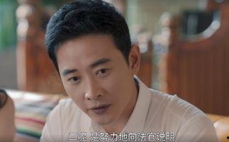 电视剧归去来大结局,命运交织，终章揭秘，爱恨情仇终成空